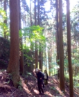 森の散歩01.JPG
